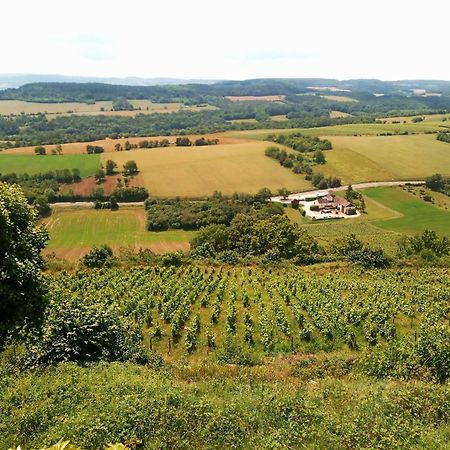 Gite Le Delice Villa Tannay  Buitenkant foto