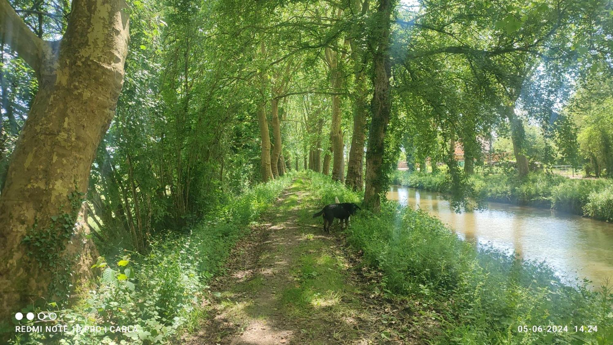 Gite Le Delice Villa Tannay  Buitenkant foto