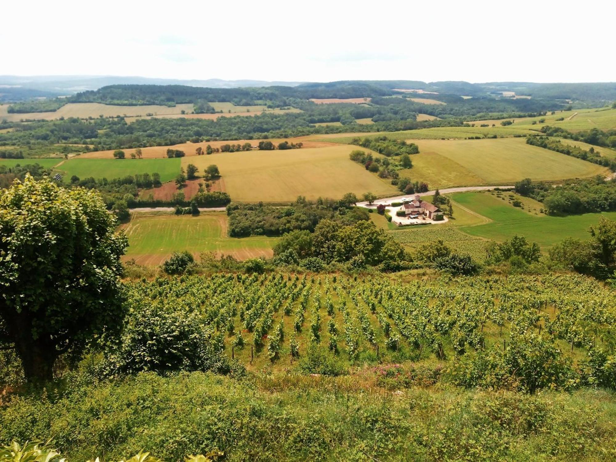 Gite Le Delice Villa Tannay  Buitenkant foto